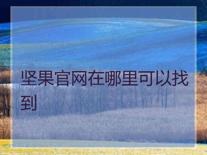 坚果官网在哪里可以找到