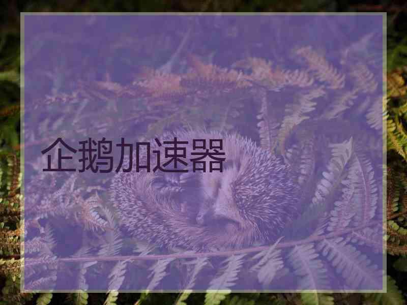 企鹅加速器