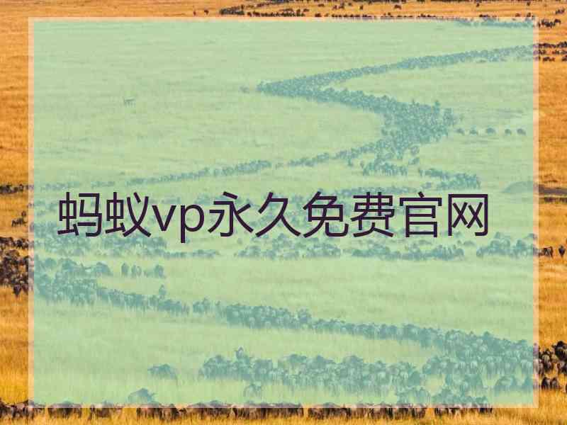 蚂蚁vp永久免费官网