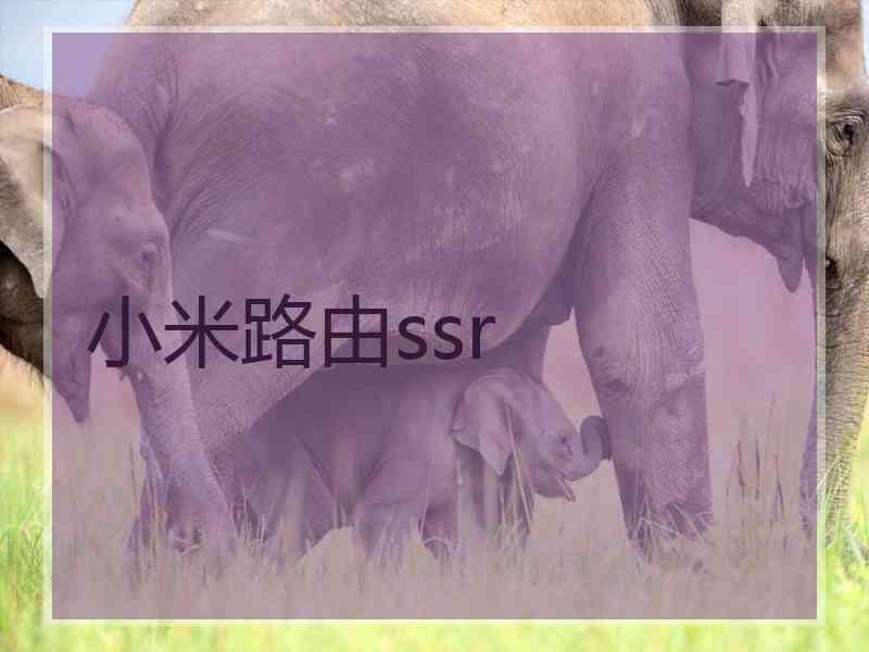 小米路由ssr