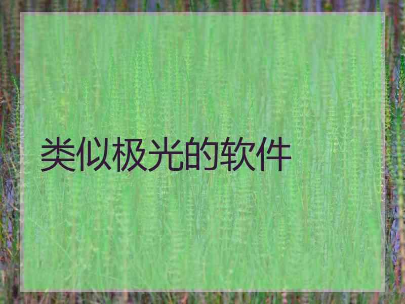 类似极光的软件