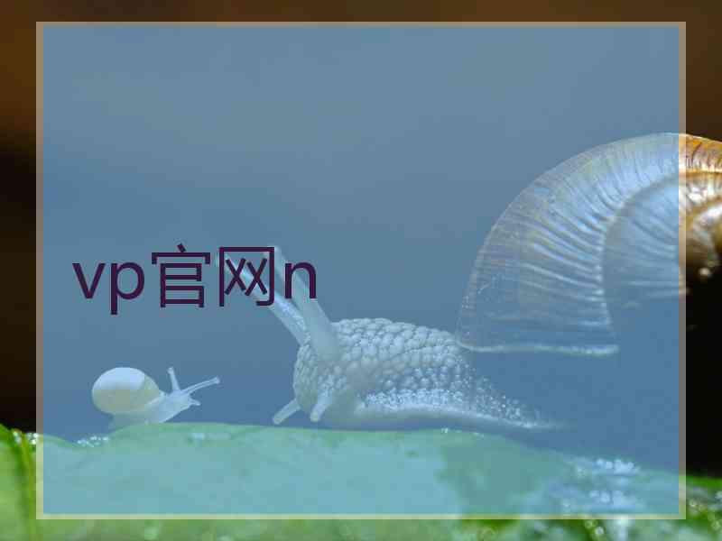 vp官网n
