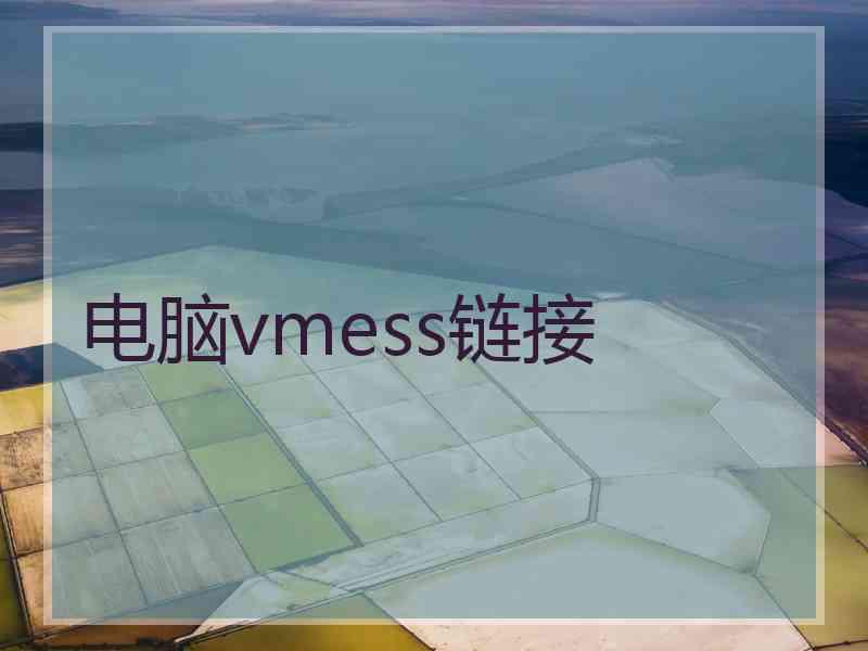 电脑vmess链接