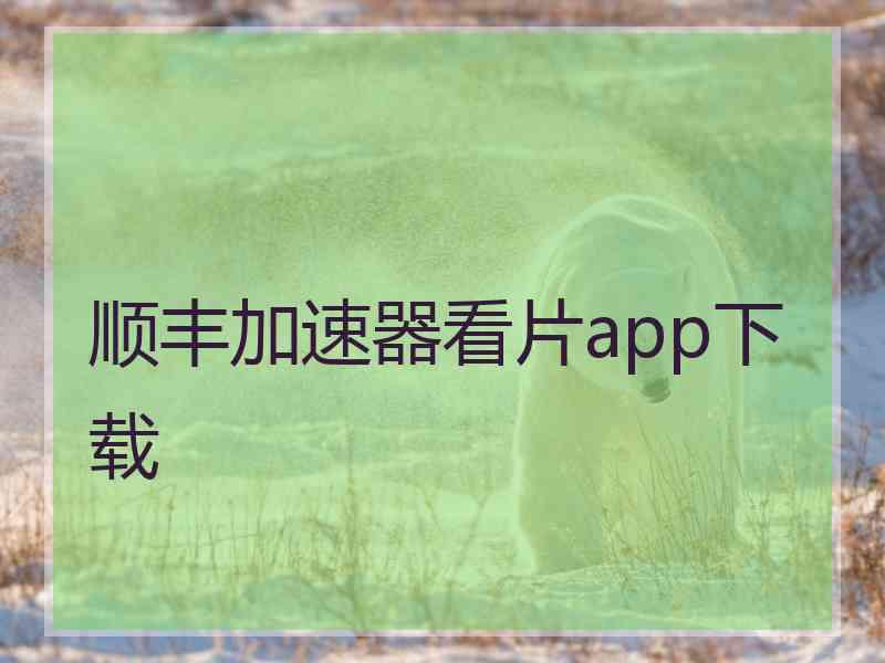 顺丰加速器看片app下载