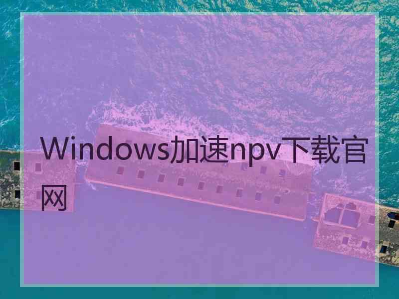 Windows加速npv下载官网