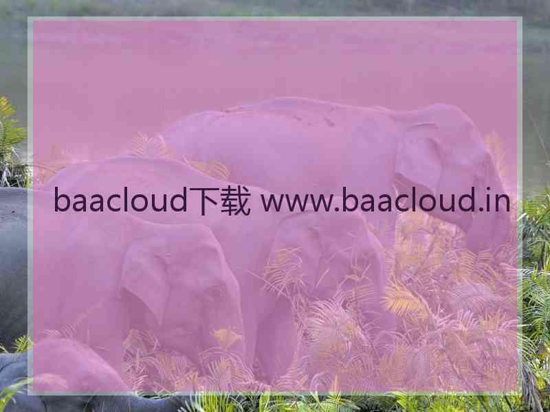 baacloud下载 www.baacloud.in