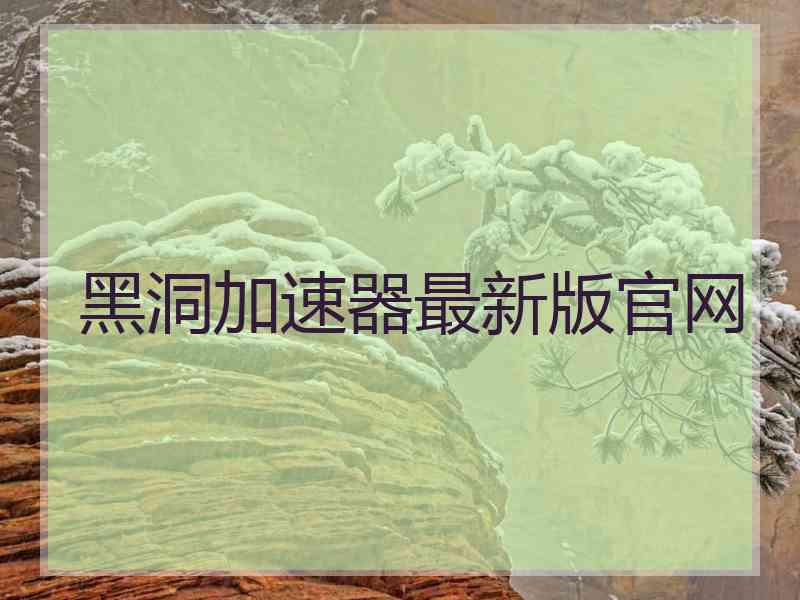 黑洞加速器最新版官网