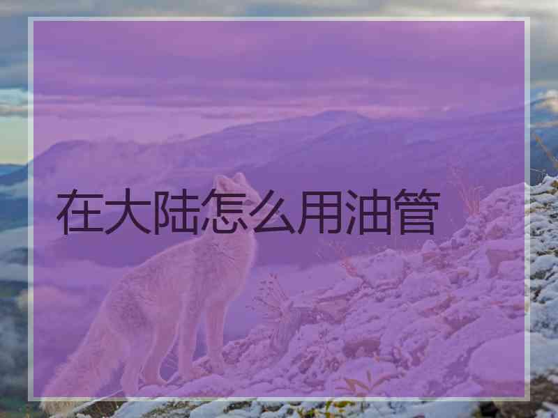 在大陆怎么用油管