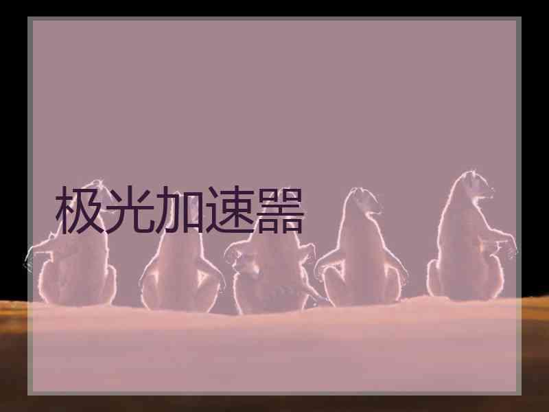 极光加速噐