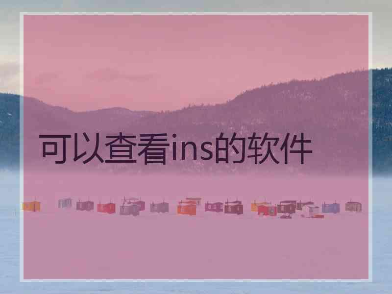 可以查看ins的软件