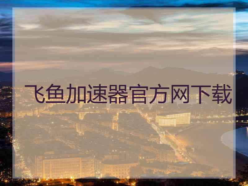 飞鱼加速器官方网下载