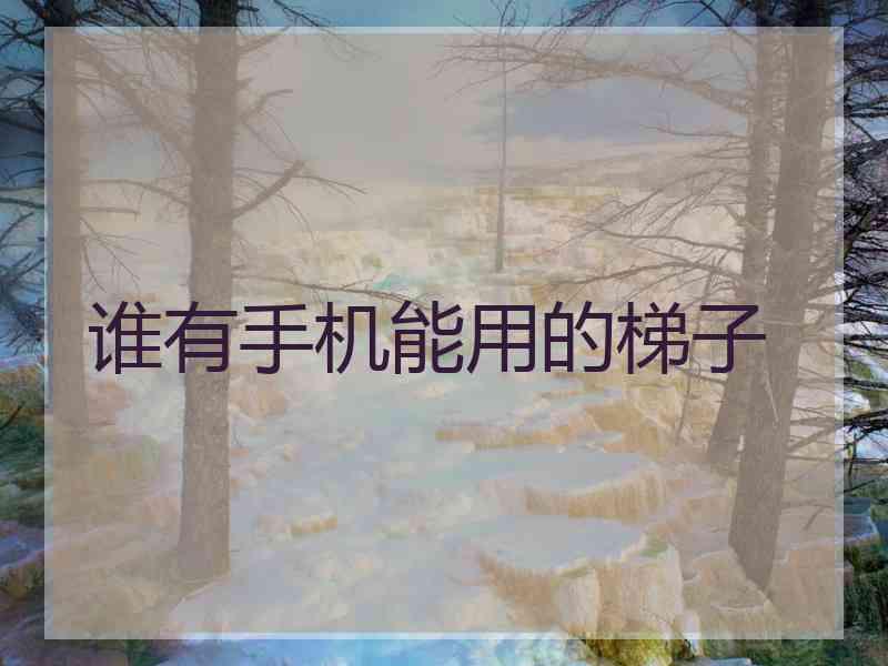谁有手机能用的梯子
