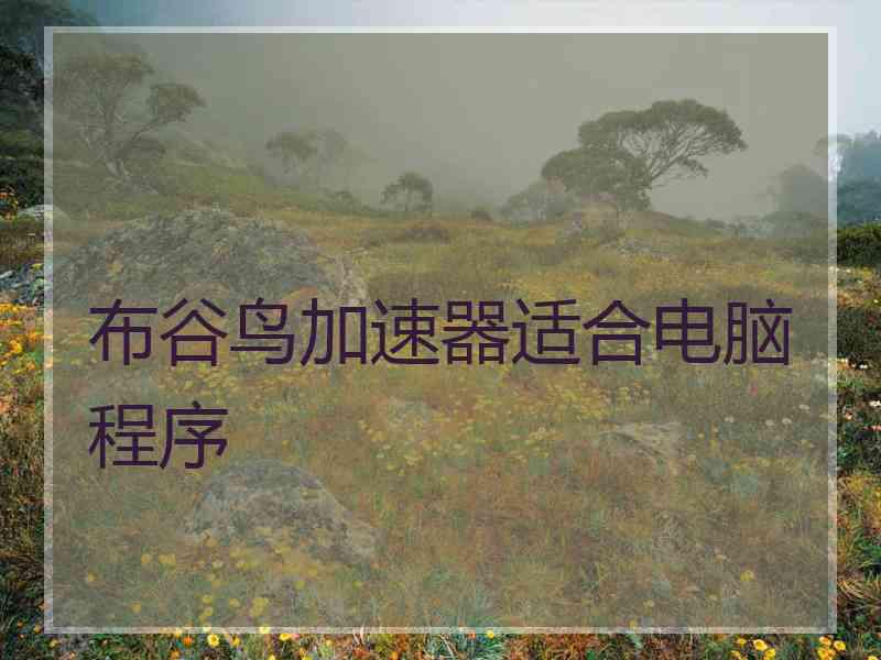 布谷鸟加速器适合电脑程序
