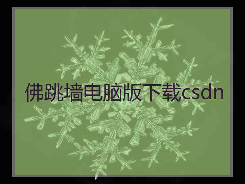 佛跳墙电脑版下载csdn
