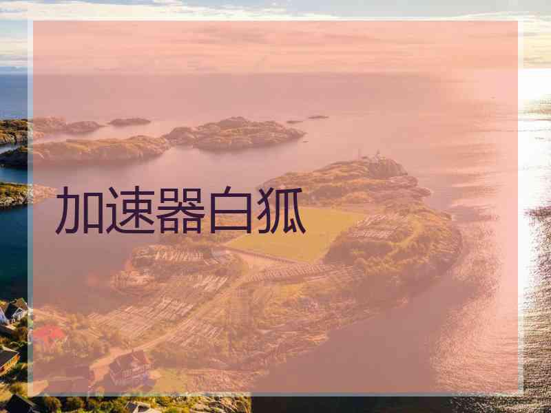 加速器白狐