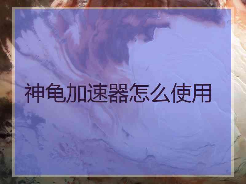 神龟加速器怎么使用