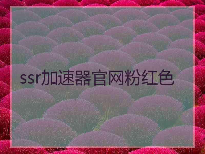 ssr加速器官网粉红色