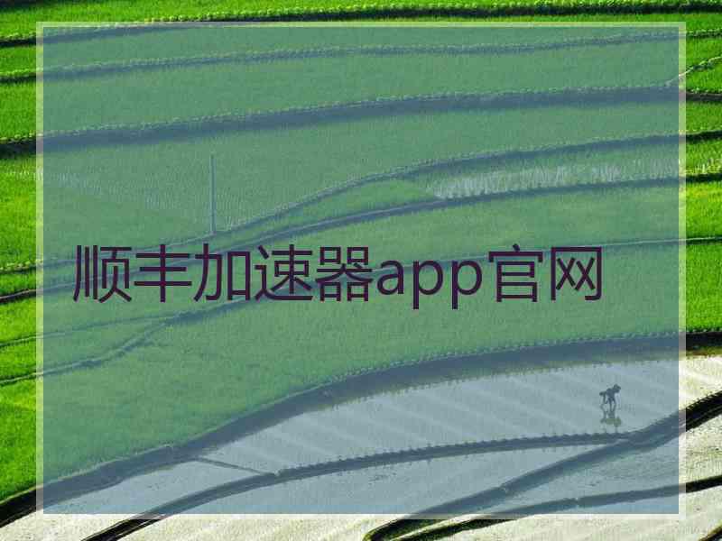 顺丰加速器app官网