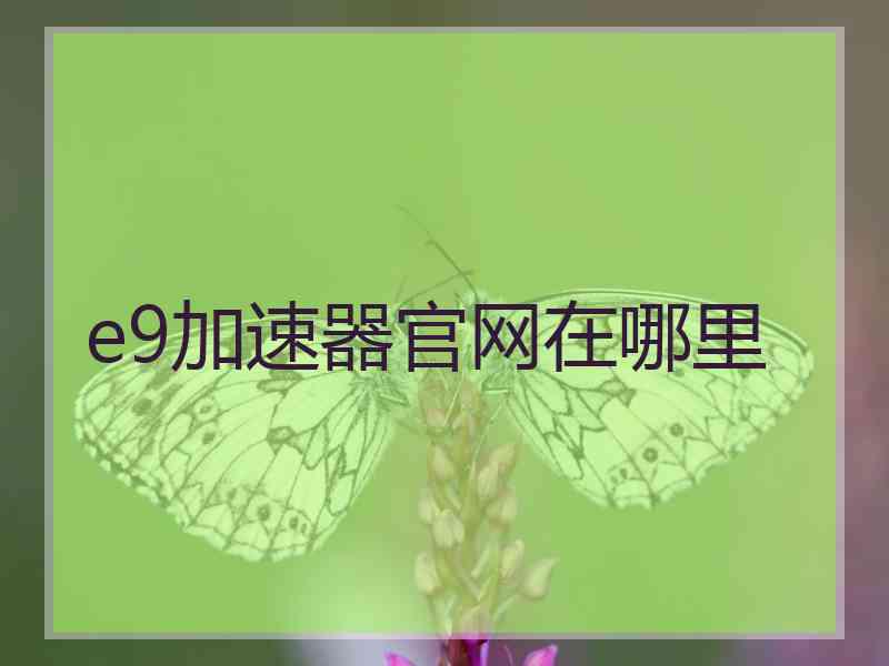 e9加速器官网在哪里