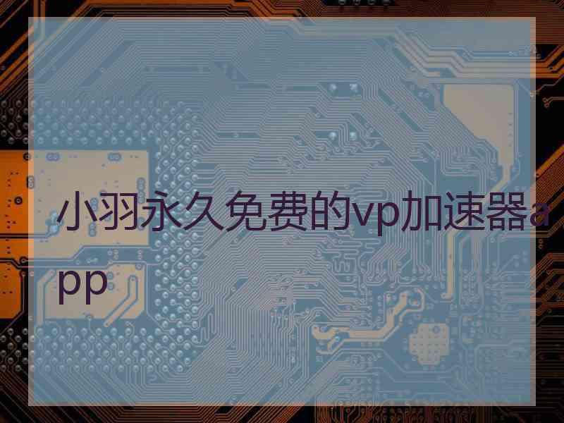 小羽永久免费的vp加速器app