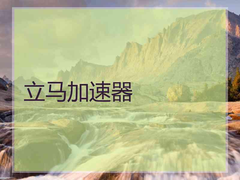 立马加速器
