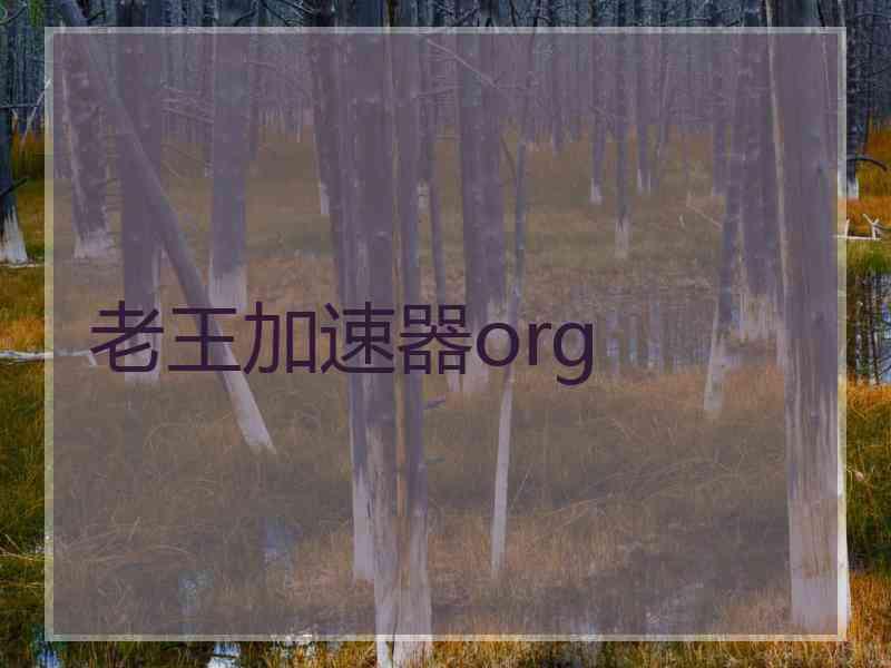 老王加速器org