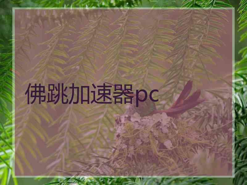佛跳加速器pc