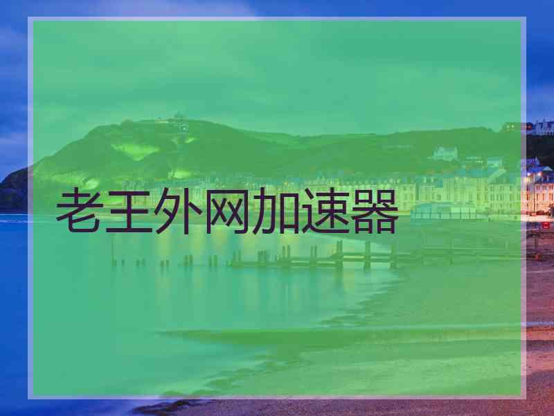 老王外网加速器