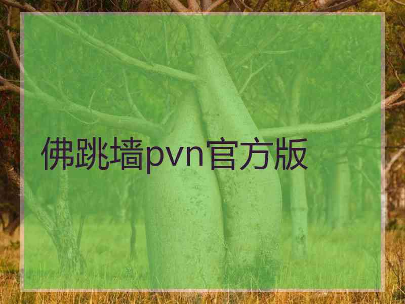 佛跳墙pvn官方版