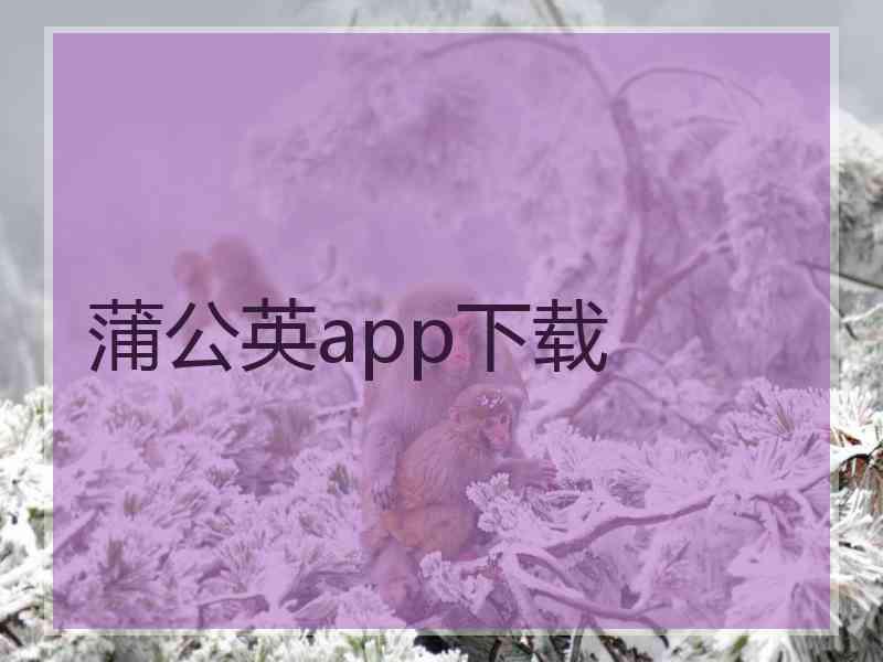 蒲公英app下载