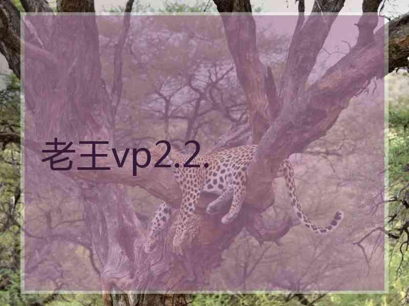 老王vp2.2.