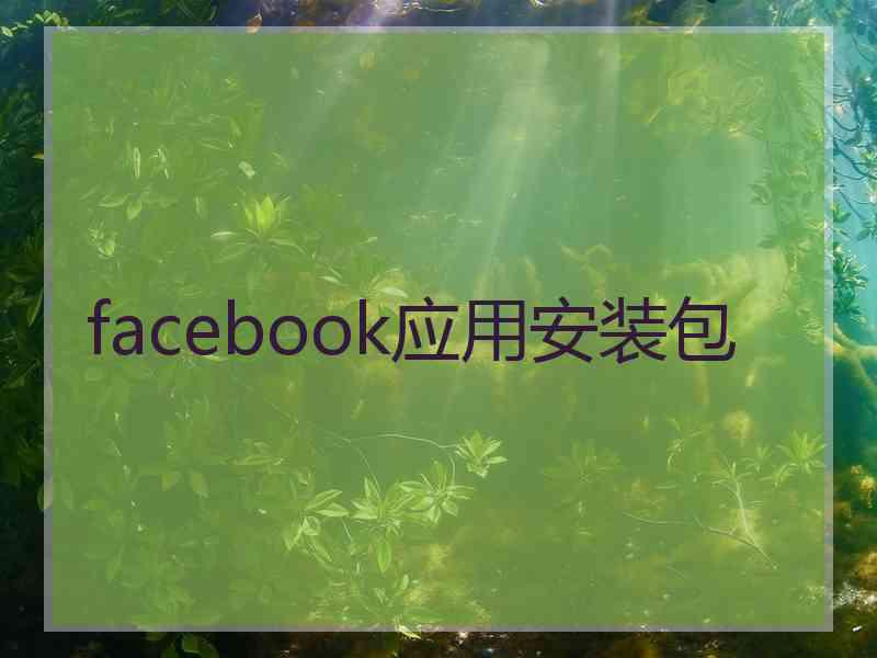 facebook应用安装包