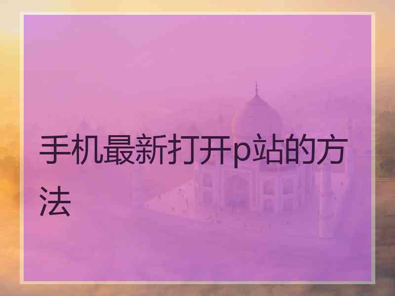 手机最新打开p站的方法