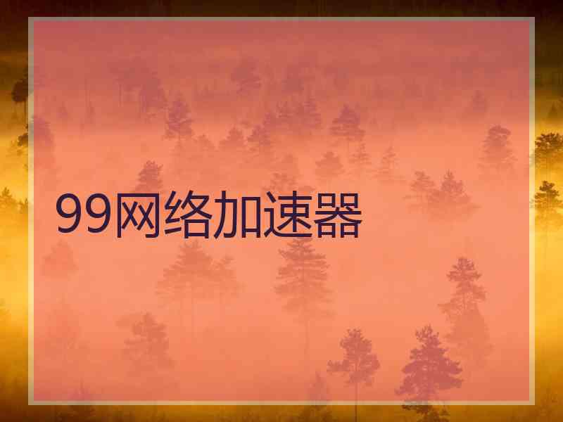 99网络加速器