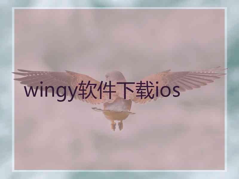 wingy软件下载ios