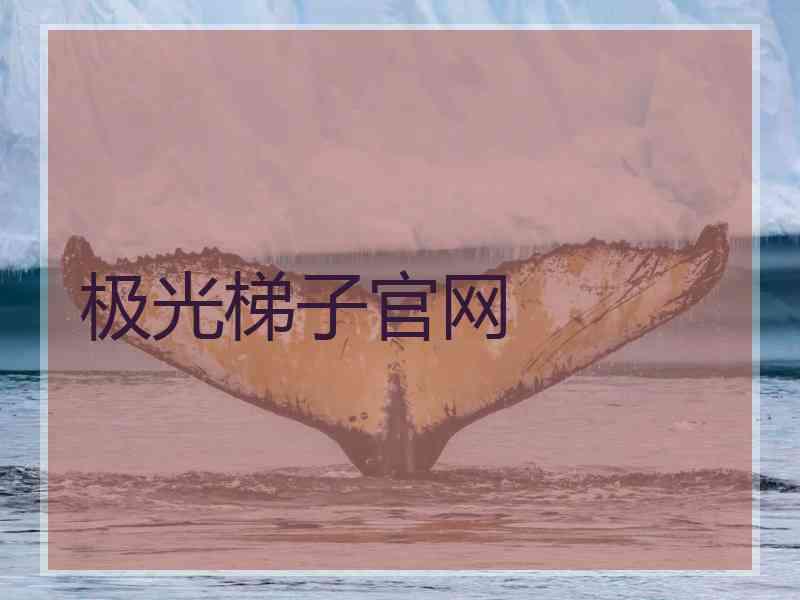 极光梯子官网
