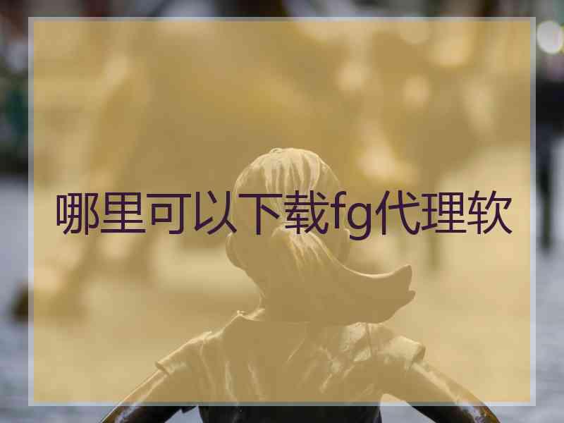 哪里可以下载fg代理软