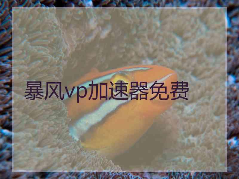暴风vp加速器免费