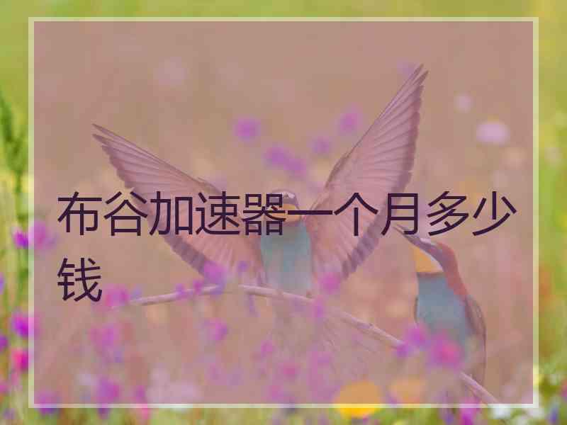 布谷加速器一个月多少钱