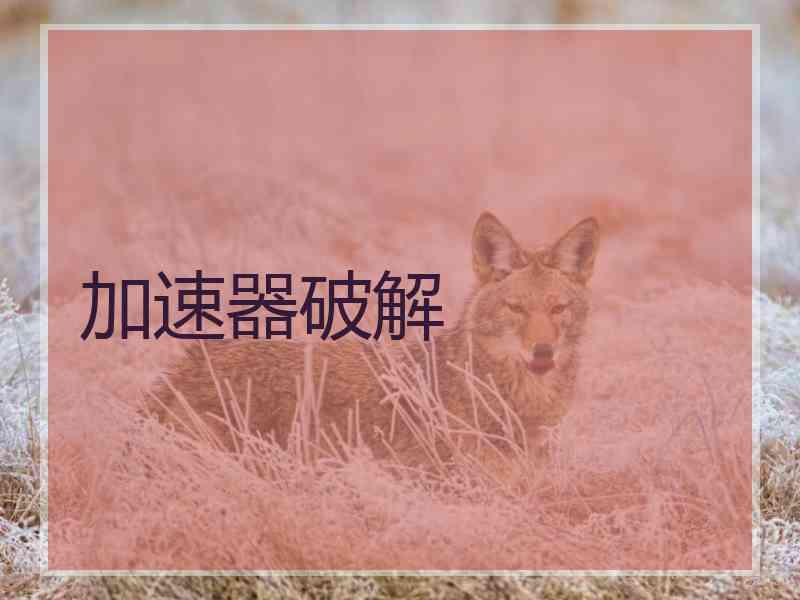 加速器破解