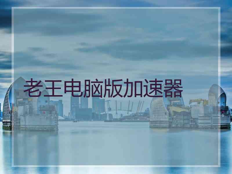 老王电脑版加速器