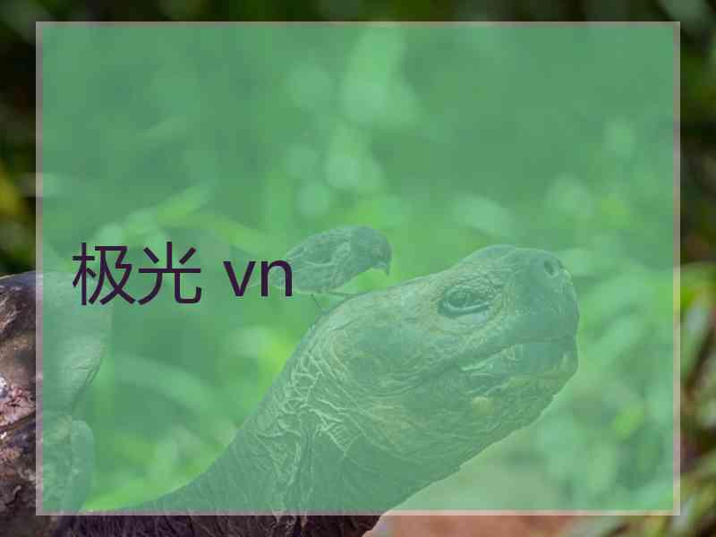 极光 vn