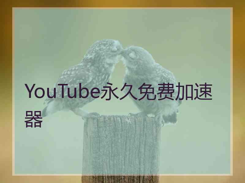 YouTube永久免费加速器
