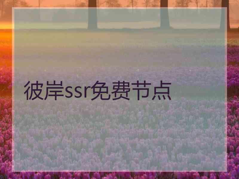 彼岸ssr免费节点