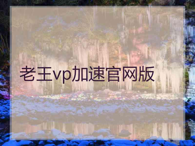 老王vp加速官网版