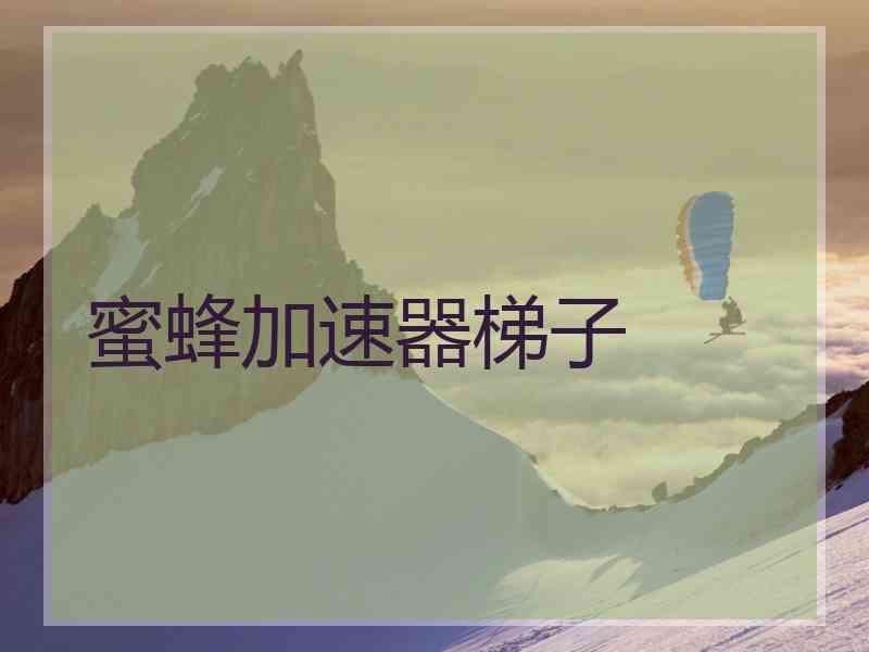 蜜蜂加速器梯子