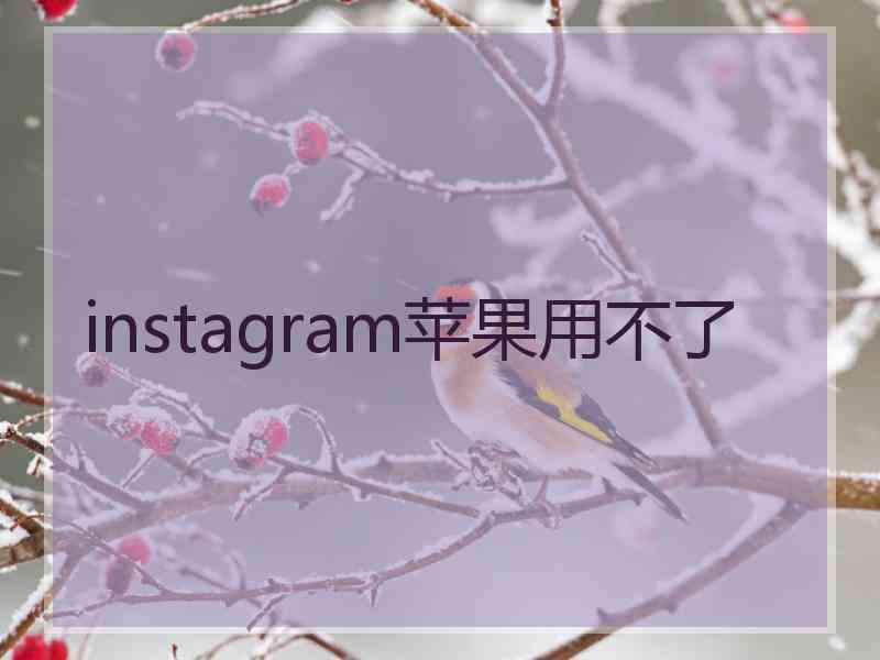 instagram苹果用不了