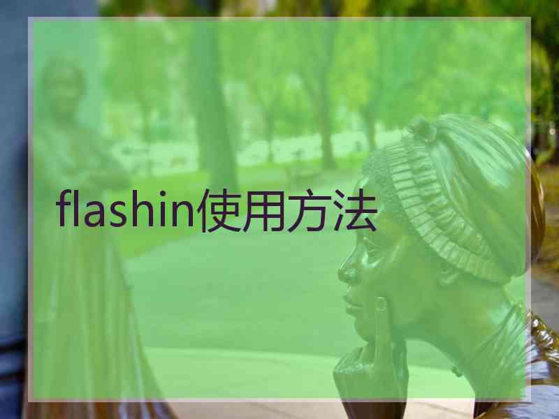 flashin使用方法