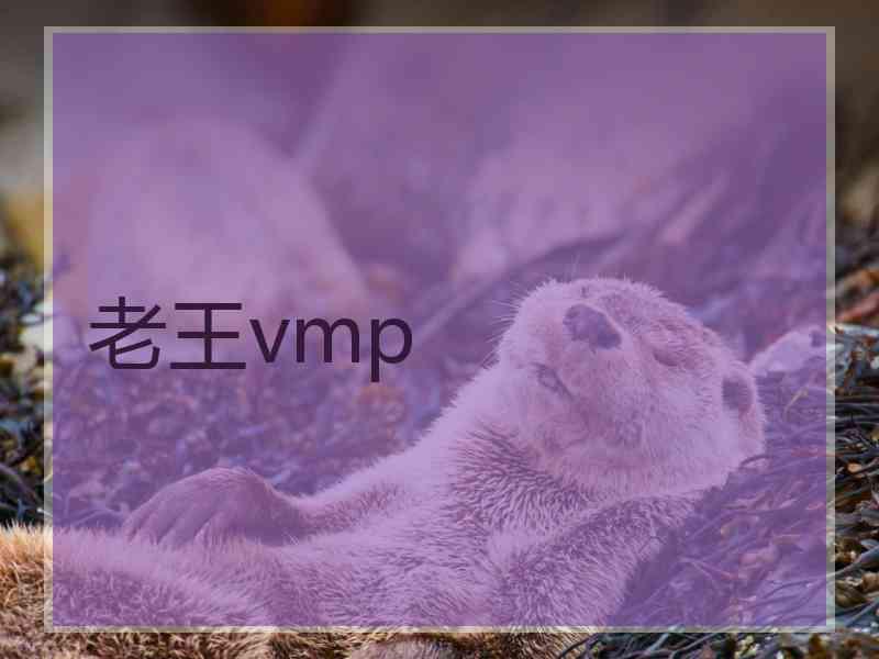 老王vmp