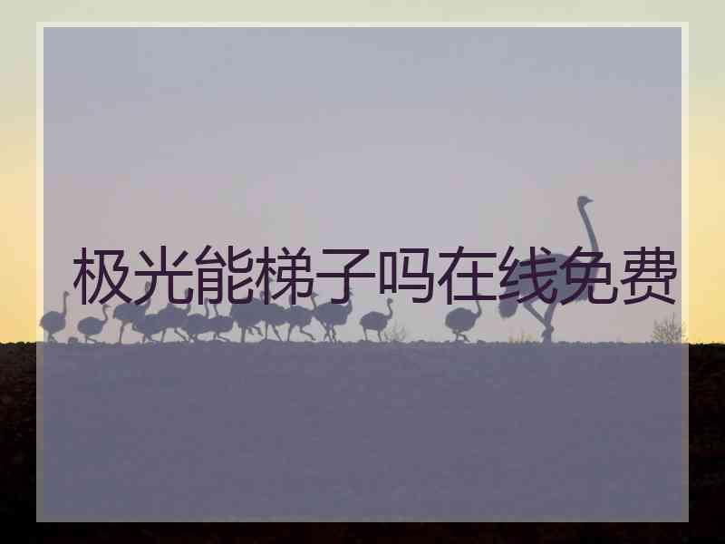 极光能梯子吗在线免费